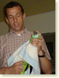 Dr. Straub demonstriert das fachmnnische Halten eines Papageien